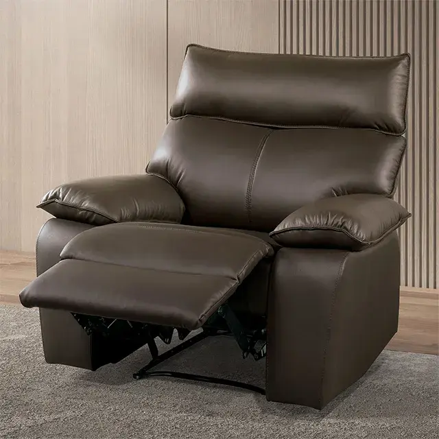 Contemporary Brown Sofa — Sofa, view 2