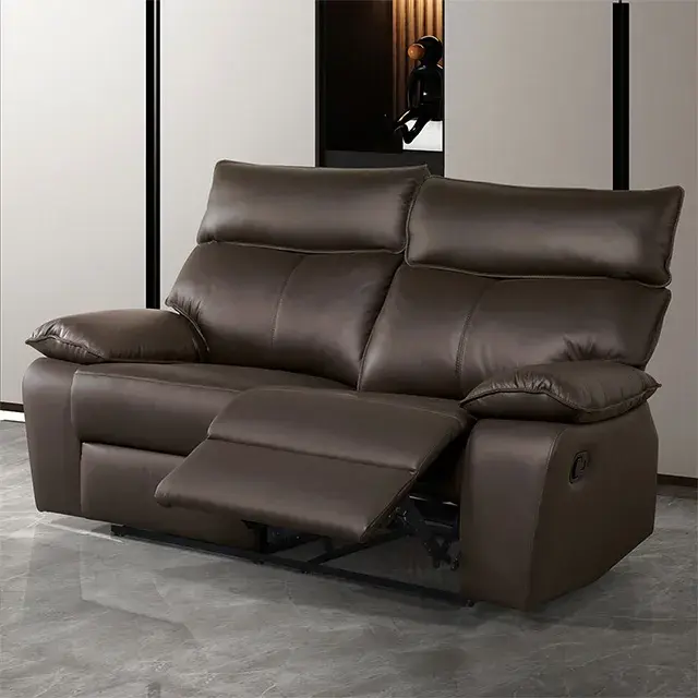Contemporary Brown Sofa — Sofa, view 4