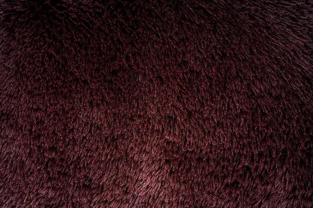 Contemporary Red Wine Accent Chair — Lounge Chair, view 12