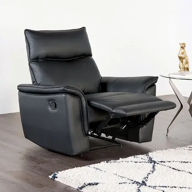 Transitional Black Sofa (Bienne) — Sofa, view 2