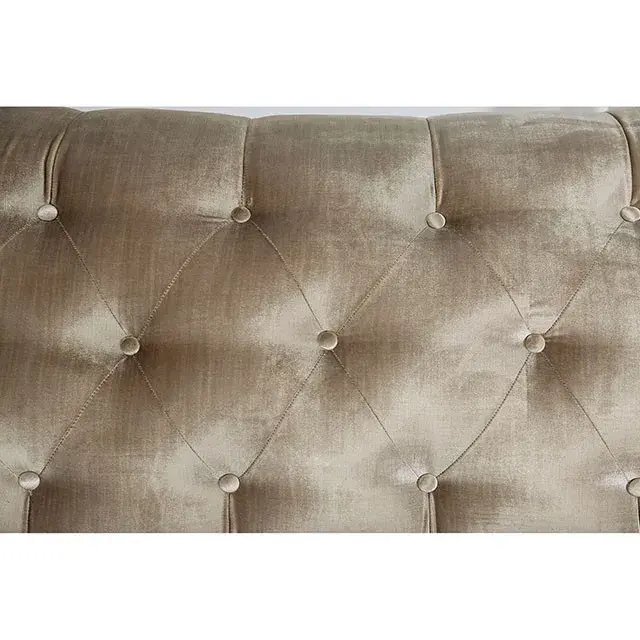 Transitional Champagne, Turquoise Loveseat — Sofa, view 9