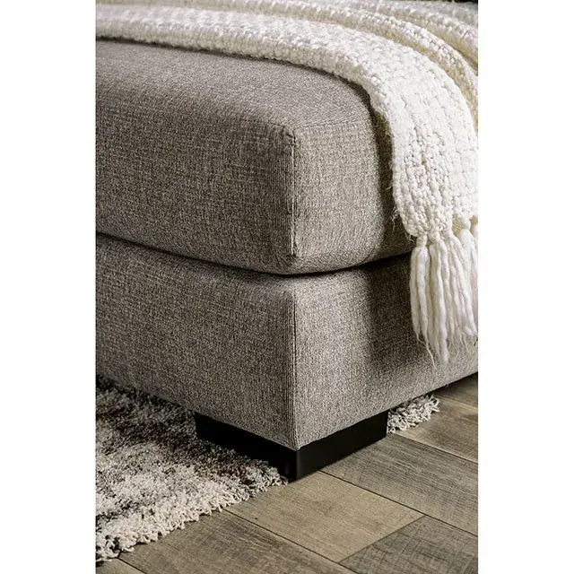 Transitional Light Gray Sectional Sofa (Angelia) — Sofa, view 3